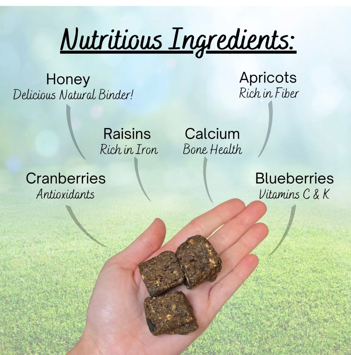 berry bites