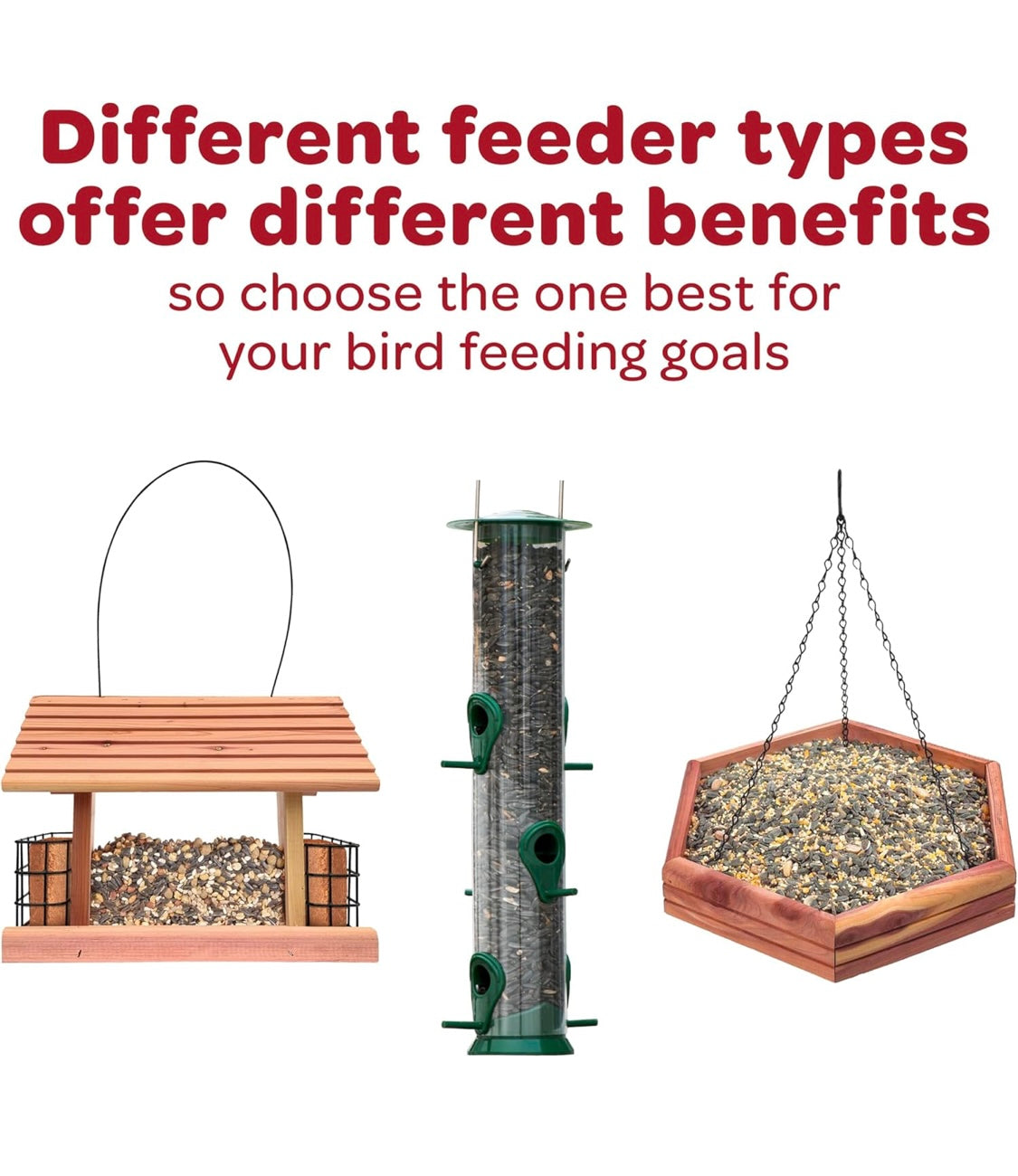 Kaytee Striped Sunflower Wild Bird Food 5 Pounds