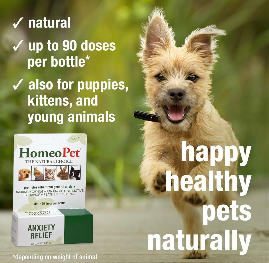 HomeoPet Anxiety Relief Medicine for Pets, Natural Anxiety Relief for Dogs and Cats, Cat and Dog Calming 15 ml