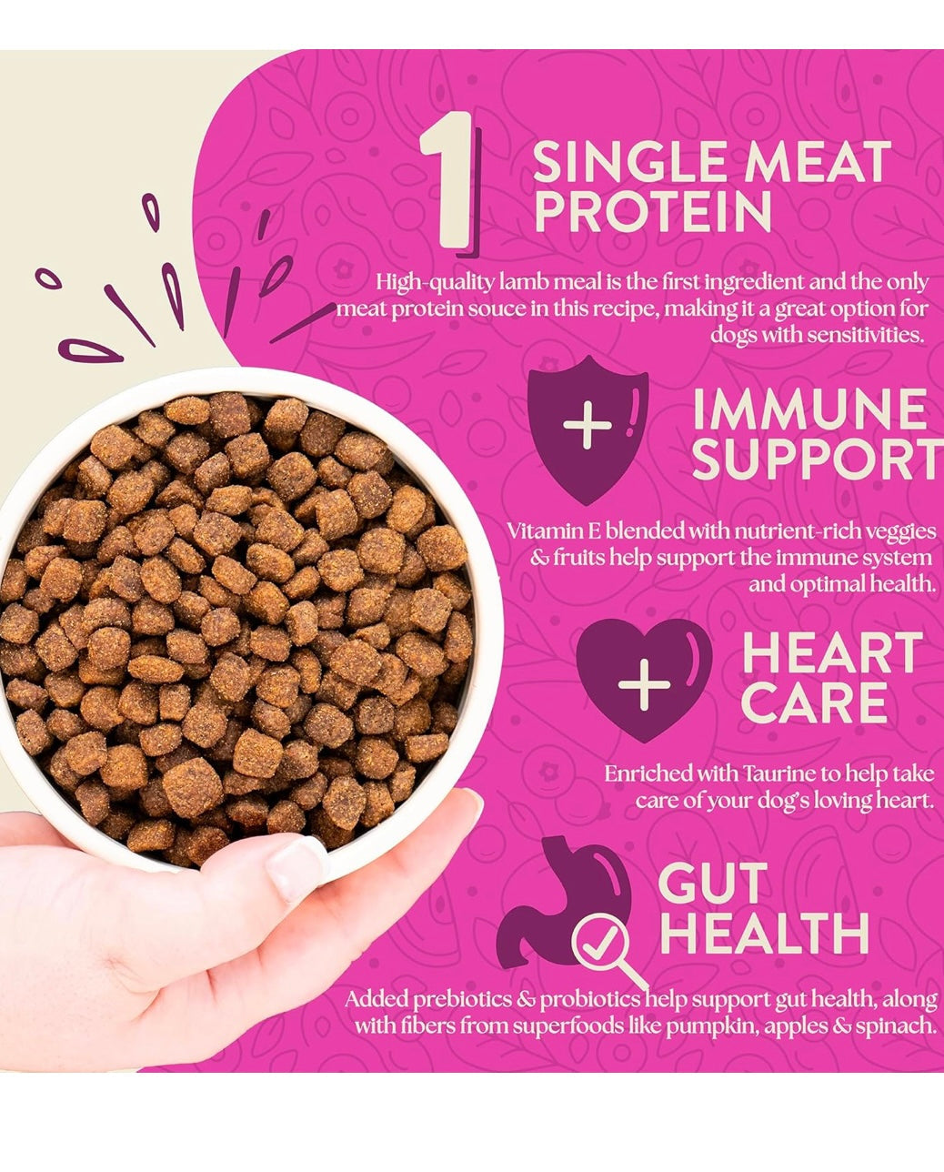 Earthborn Holistic Meadow Feast Lamb Meal & Vegetables Grain-Free Sensitive Skin & Stomach Dry Food for Adult Dogs (25 lb. Bag)