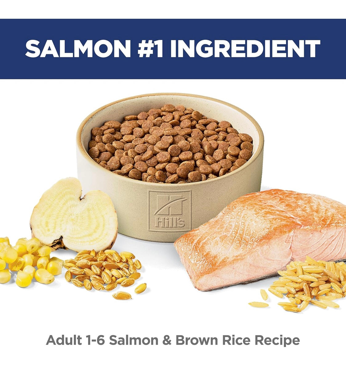 Hill's Science Diet Adult 1-6, Adult 1-6 Premium Nutrition, Dry Cat Food, Salmon & Brown Rice, 3.5 lb
