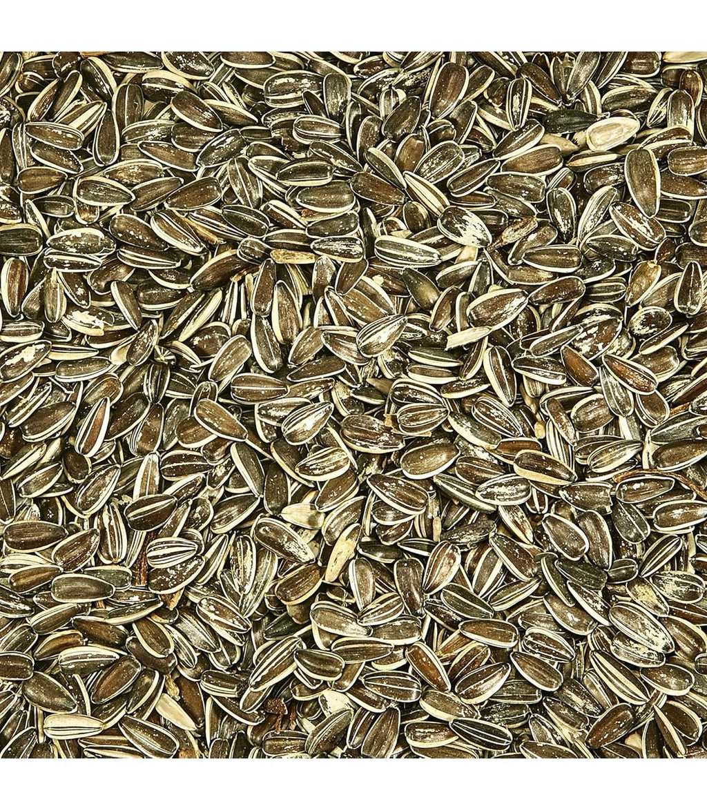 Kaytee Striped Sunflower Wild Bird Food 5 Pounds