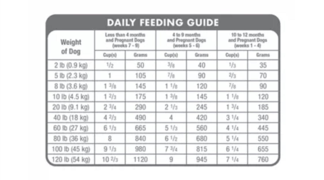 Hill's Science Diet Puppy Dry Dog Food - Chicken & Brown Rice 15.5 lbs