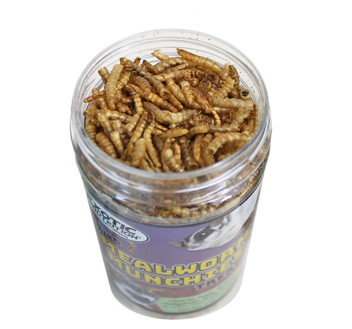mealworms munchies 1.96 oz