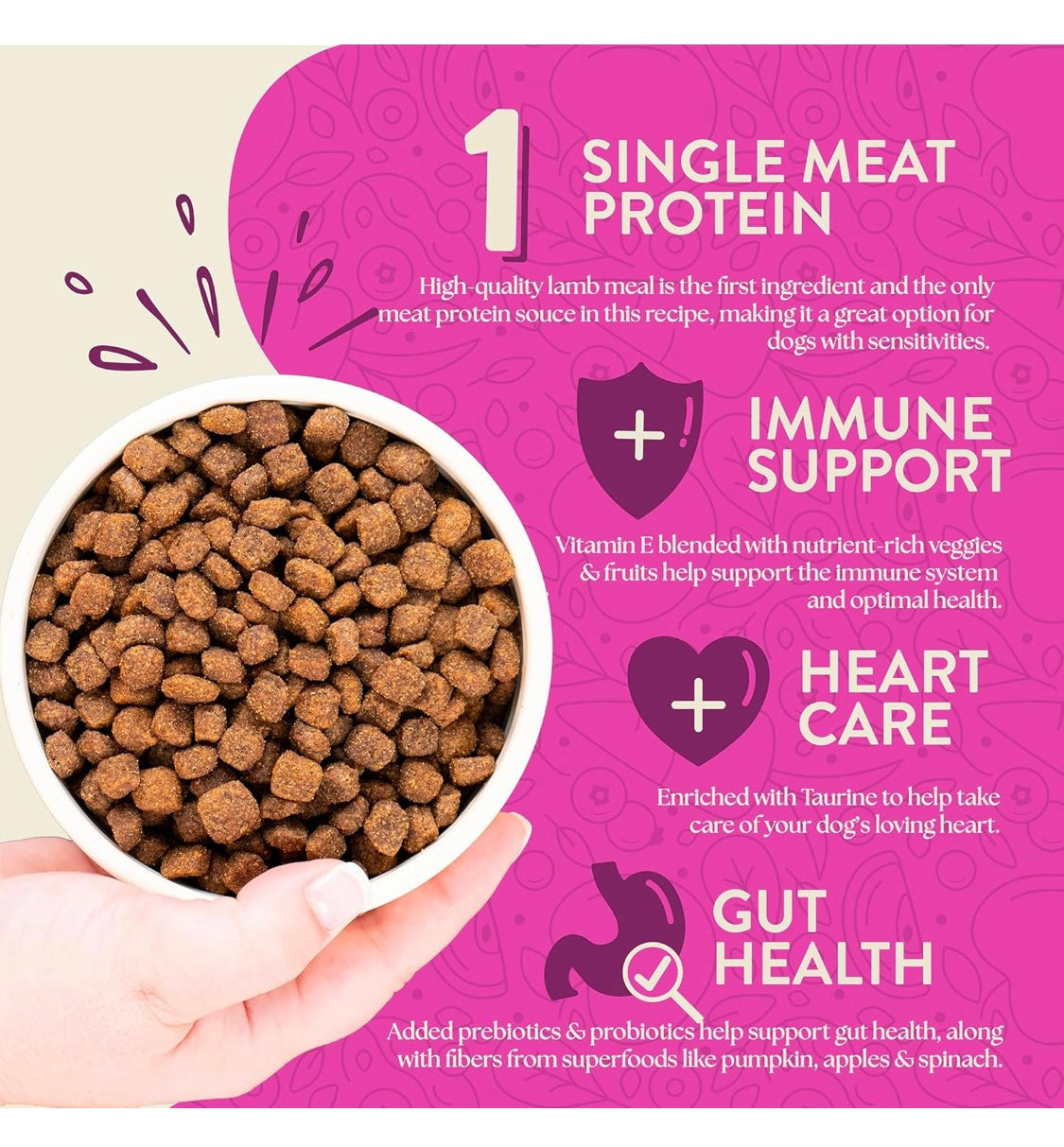 Earthborn Holistic Meadow Feast Lamb Meal & Vegetables Grain-Free Sensitive Skin & Stomach Dry Food for Adult Dogs (12.5 lb. Bag)