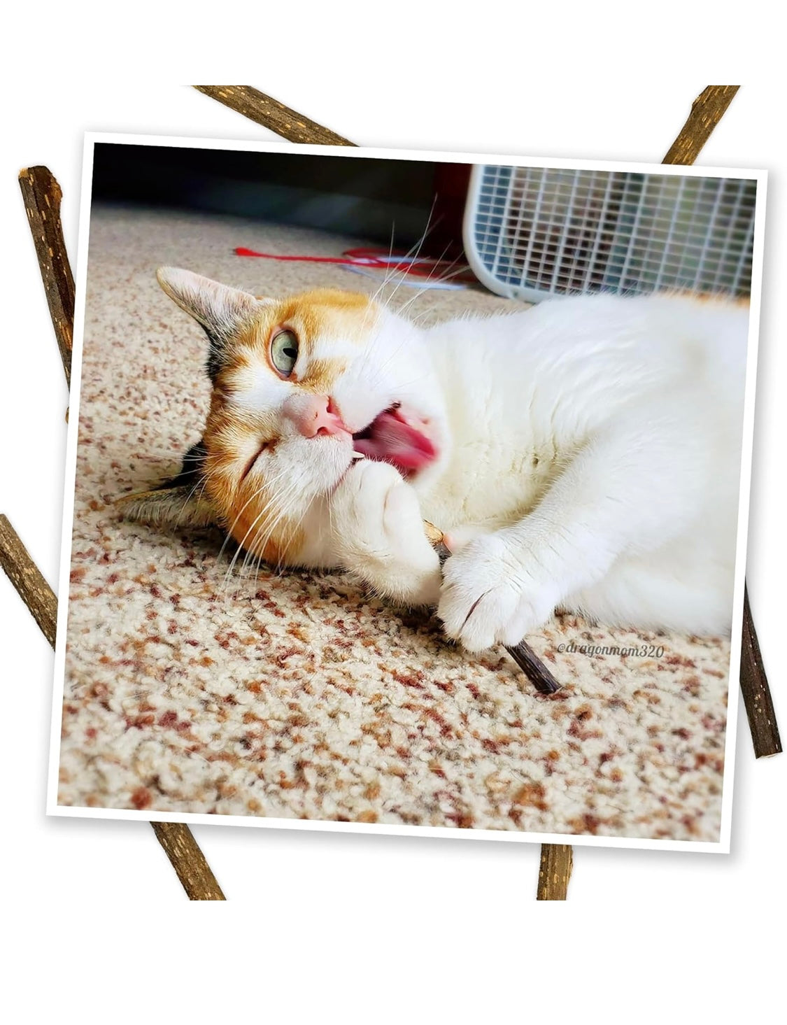 Meowijuana | Silvervine Sticks | Organic | Perfect for Cat Toys | Grown in North America | Feline and Cat Lover Approved