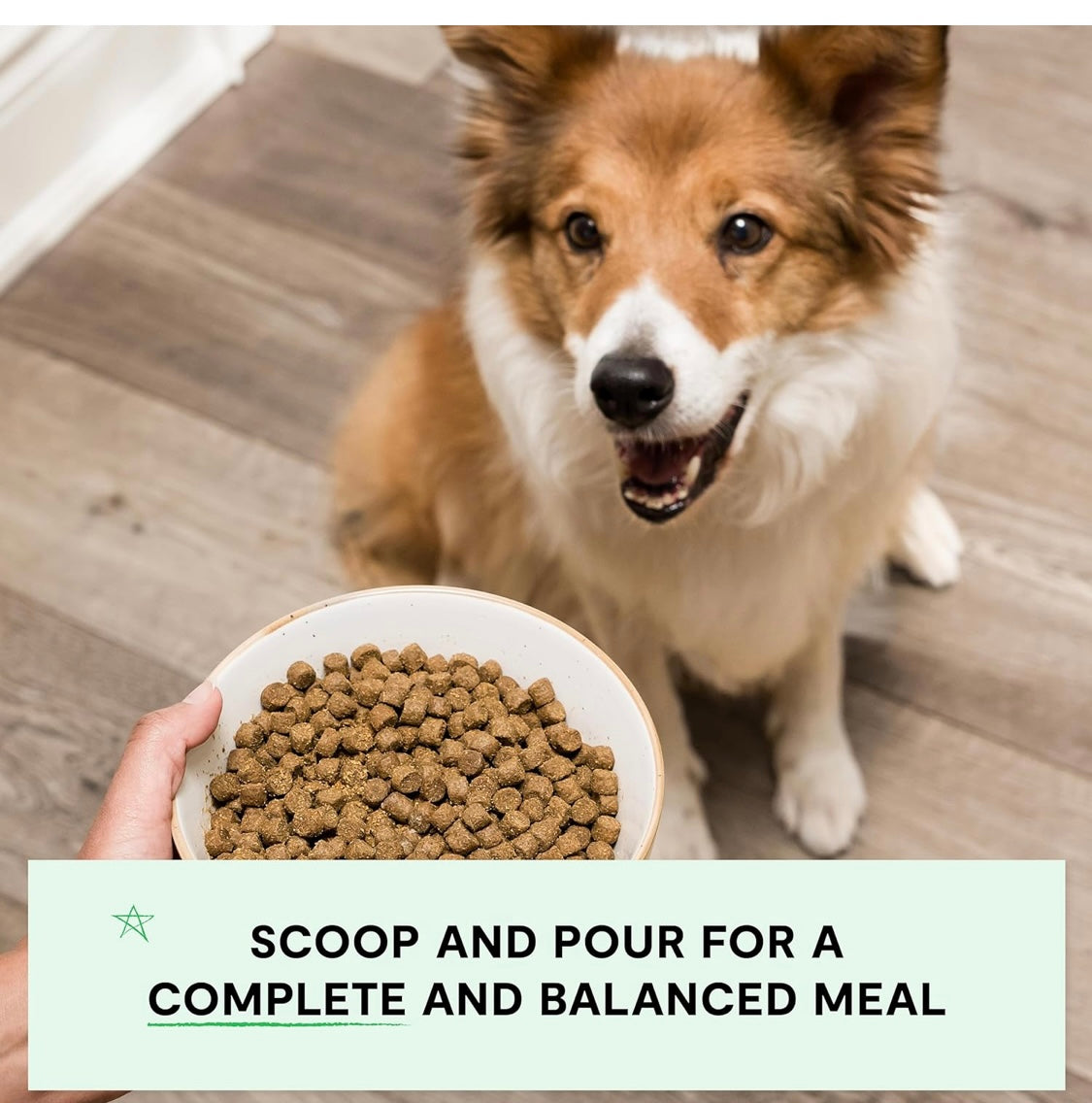 Open Farm, Grain-Free Dry Dog Food, Complete & Balanced Kibble, Sustainably & Ethically Sourced Ingredients, Non-GMO Veggies & Superfoods Support Overall Health, Pasture Raised Lamb Recipe, 4lb Bag