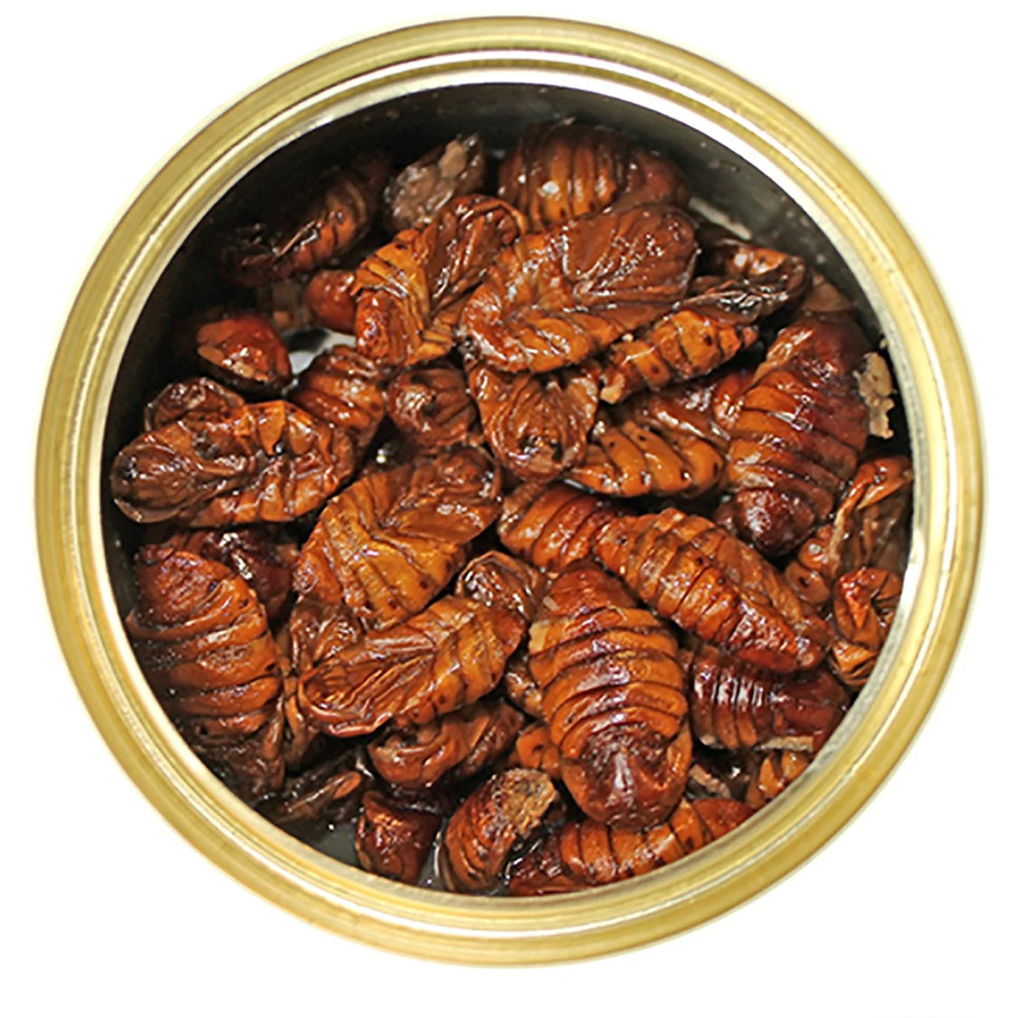 canned silkworms pupae 1.2 oz