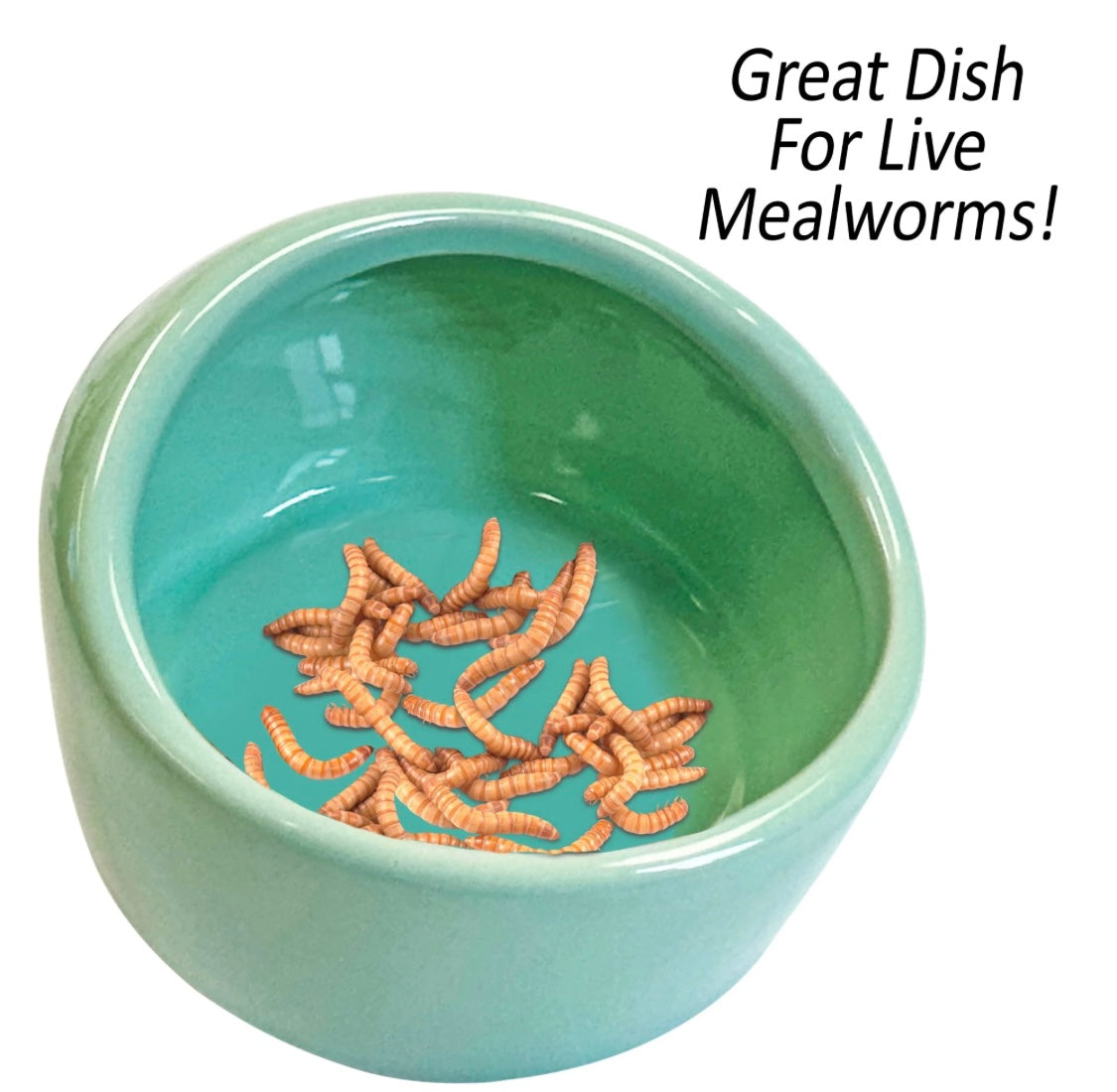 no tip-ceramic feed dish