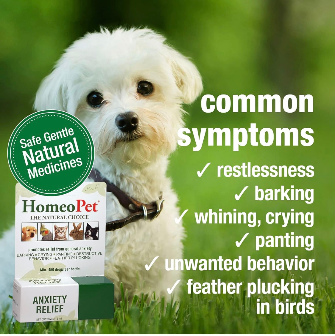 HomeoPet Anxiety Relief Medicine for Pets, Natural Anxiety Relief for Dogs and Cats, Cat and Dog Calming 15 ml