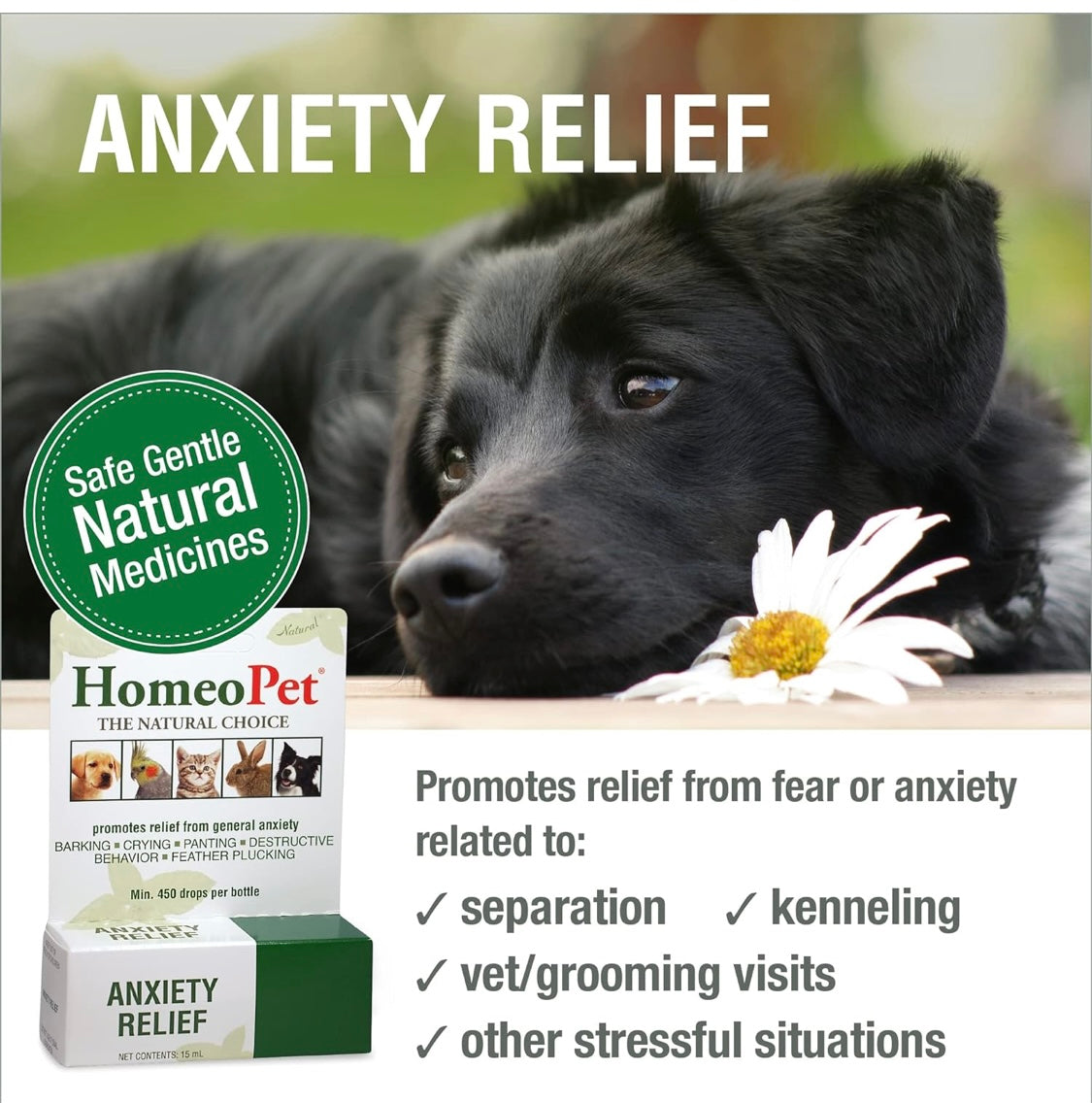 HomeoPet Anxiety Relief Medicine for Pets, Natural Anxiety Relief for Dogs and Cats, Cat and Dog Calming 15 ml