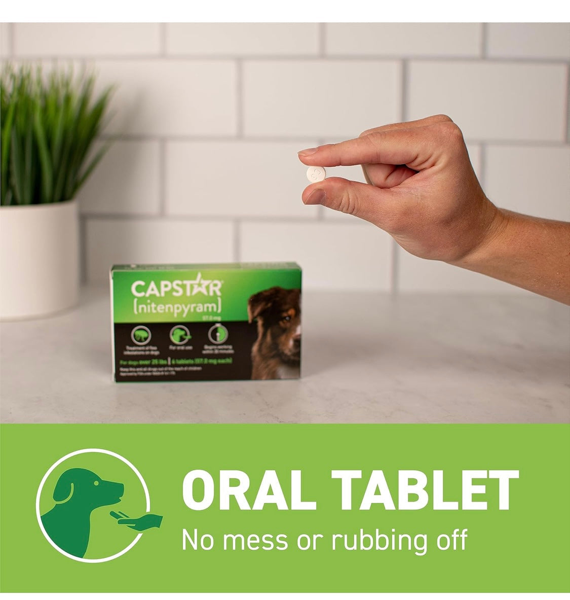 Capstar (nitenpyram) for Dogs, Fast-Acting Oral Flea Treatment for Dogs over 25+ lbs, Vet-Recommended Flea Medication Tablets Start Killing Fleas in 30 Minutes, 6 Doses