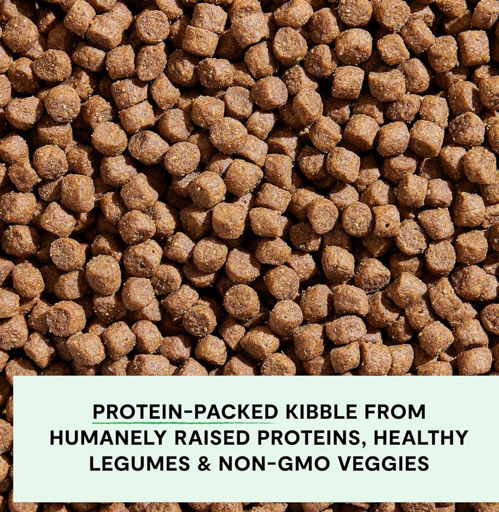 Open Farm, Grain-Free Dry Dog Food, Complete & Balanced Kibble, Sustainably & Ethically Sourced Ingredients, Non-GMO Veggies & Superfoods Support Overall Health, Pasture Raised Lamb Recipe, 4lb Bag