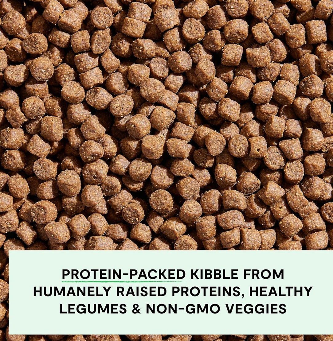 Open Farm, Grain-Free Dry Dog Food, Complete & Balanced Kibble, Sustainably & Ethically Sourced Ingredients, Non-GMO Veggies & Superfoods Support Overall Health, Pasture Raised Lamb Recipe, 4lb Bag