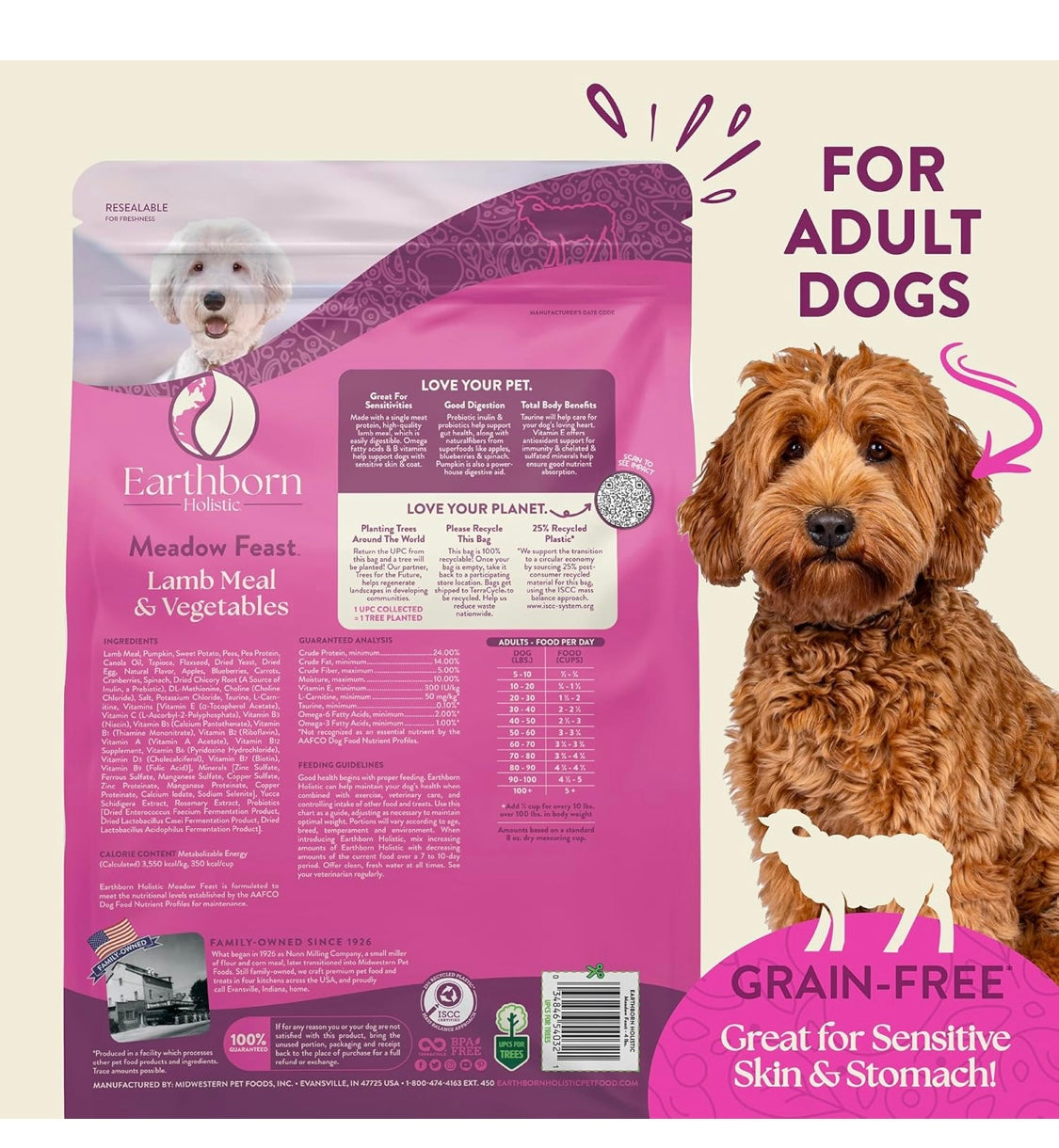 Earthborn Holistic Meadow Feast Lamb Meal & Vegetables Grain-Free Sensitive Skin & Stomach Dry Food for Adult Dogs (12.5 lb. Bag)