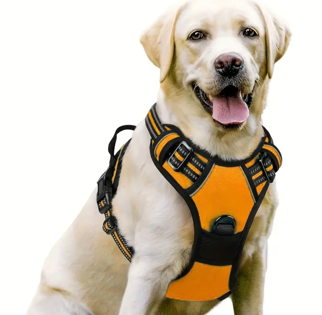 dog harness extra large dogs