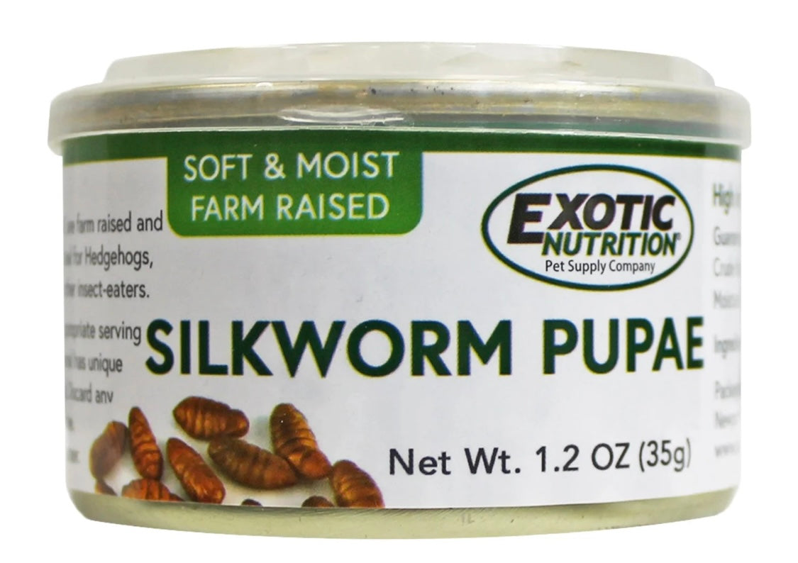 canned silkworms pupae 1.2 oz