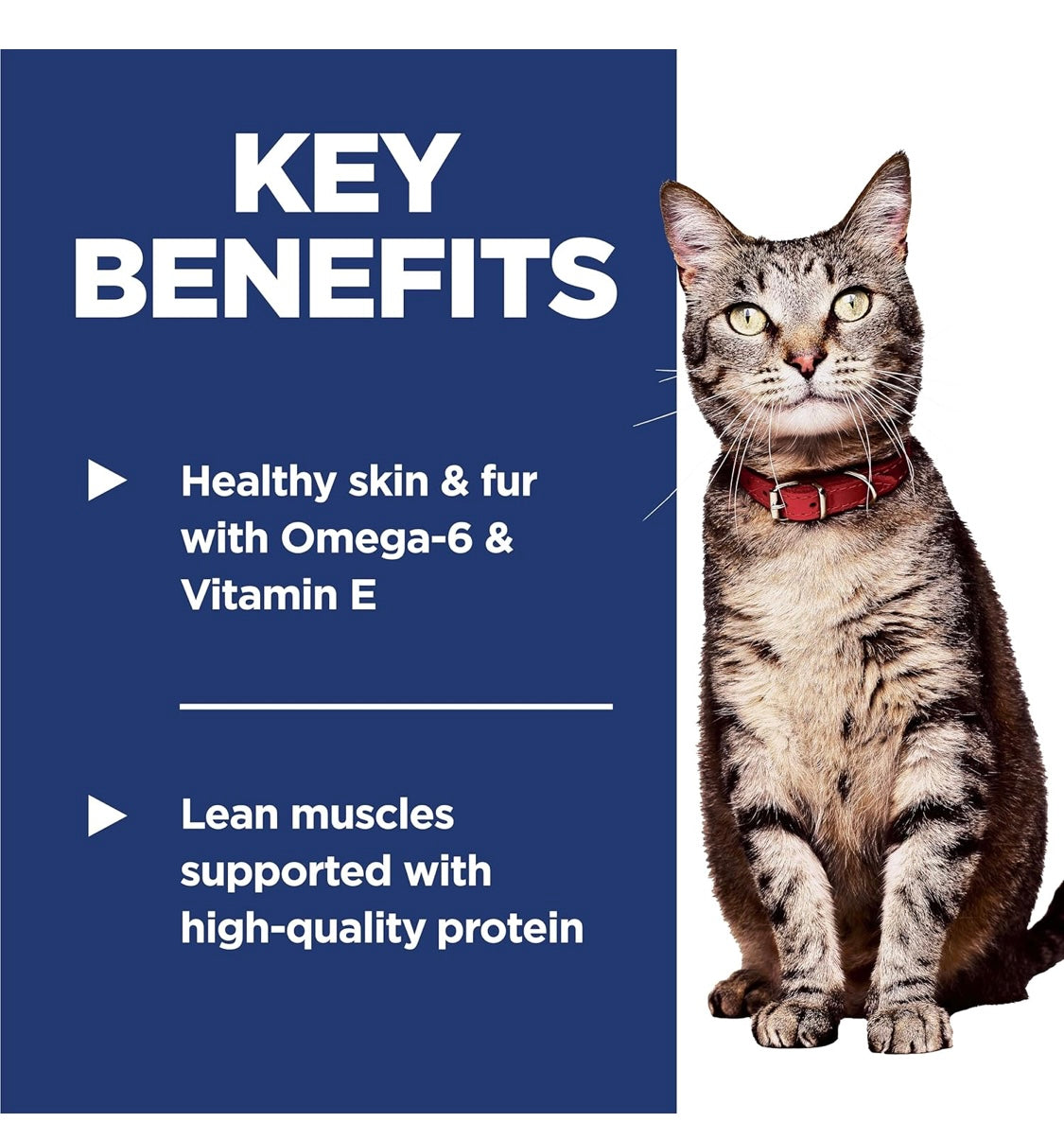 Hill's Science Diet Adult 1-6, Adult 1-6 Premium Nutrition, Dry Cat Food, Salmon & Brown Rice, 3.5 lb