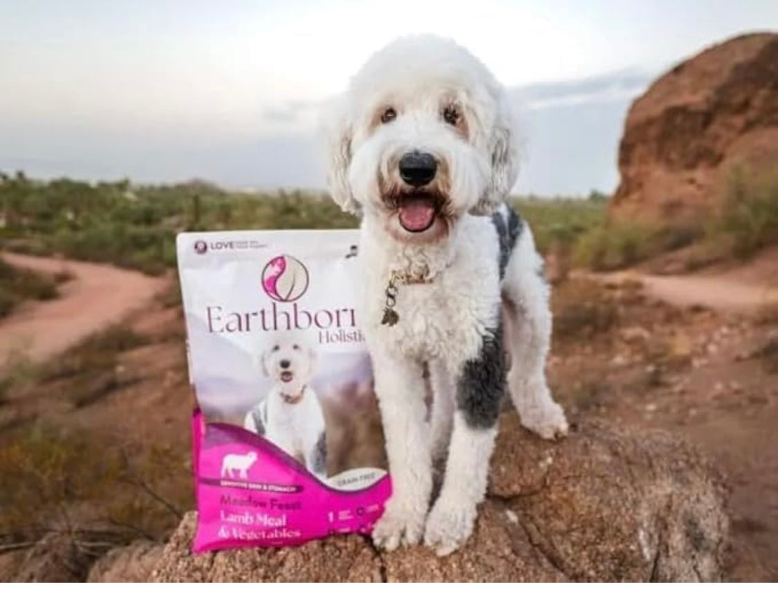 Earthborn Holistic Meadow Feast Lamb Meal & Vegetables Grain-Free Sensitive Skin & Stomach Dry Food for Adult Dogs (12.5 lb. Bag)