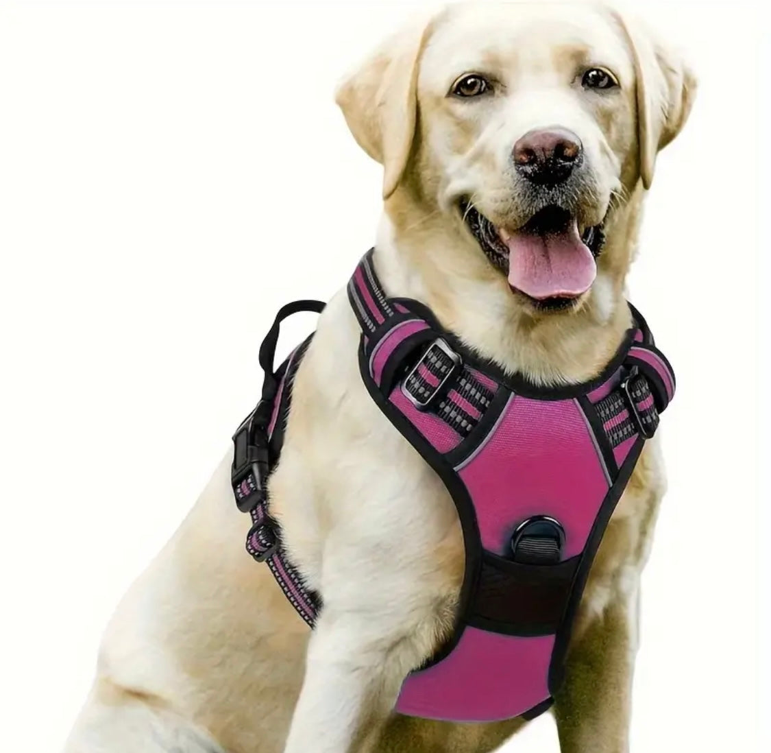dog harness extra large dogs