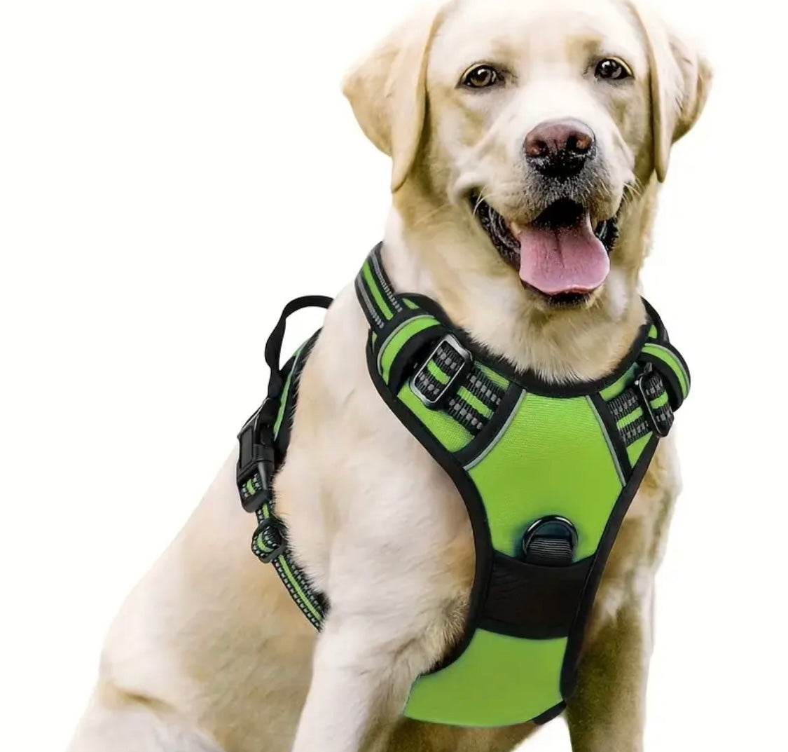 dog harness extra large dogs