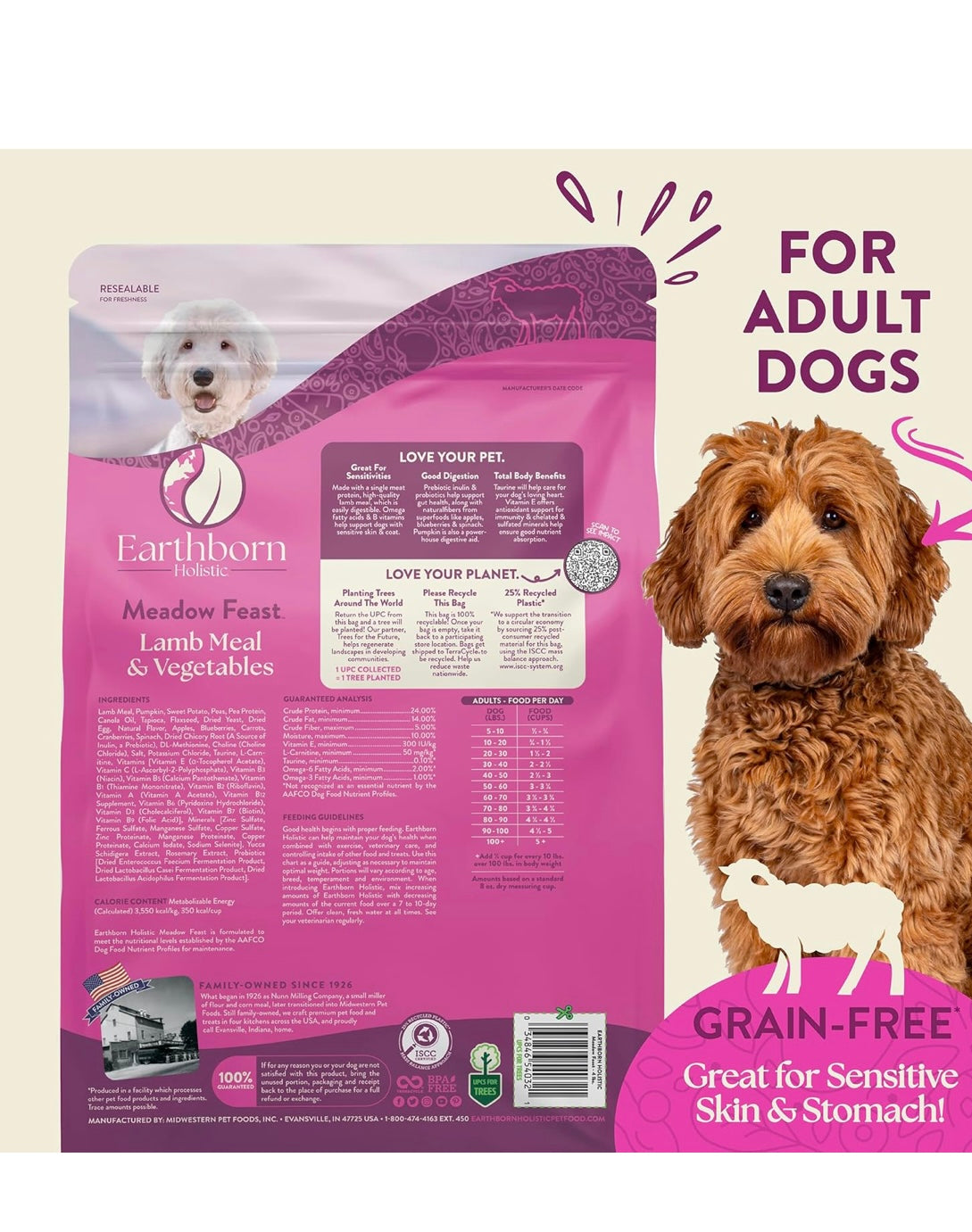 Earthborn Holistic Meadow Feast Lamb Meal & Vegetables Grain-Free Sensitive Skin & Stomach Dry Food for Adult Dogs (25 lb. Bag)