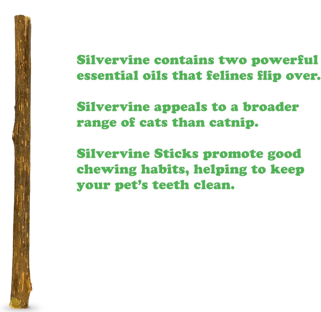 Meowijuana | Silvervine Sticks | Organic | Perfect for Cat Toys | Grown in North America | Feline and Cat Lover Approved