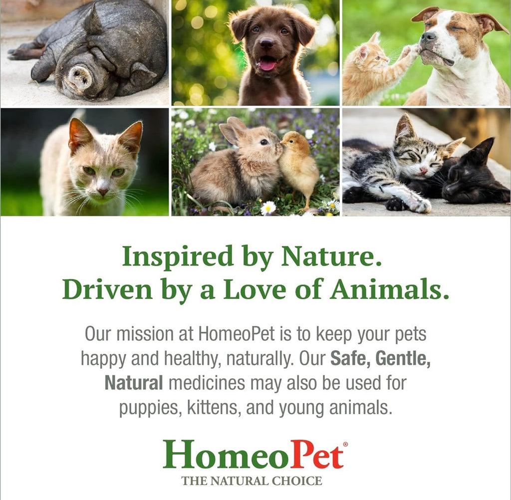 HomeoPet Anxiety Relief Medicine for Pets, Natural Anxiety Relief for Dogs and Cats, Cat and Dog Calming 15 ml