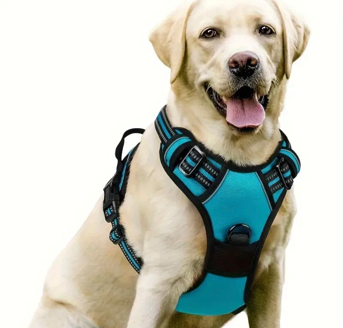 dog harness extra large dogs