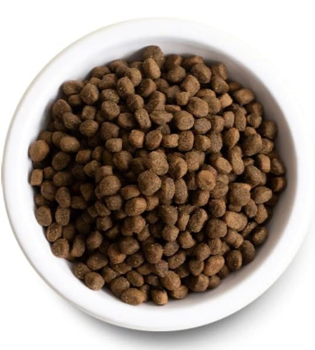 Open Farm, Ancient Grains Dry Dog Food, Protein-Rich & Nutrient Dense, 90% Animal Protein Mixed with Non-GMO Fruits, Veggies and Superfoods, Wild Caugh Salmon Recipe, 4lb Bag