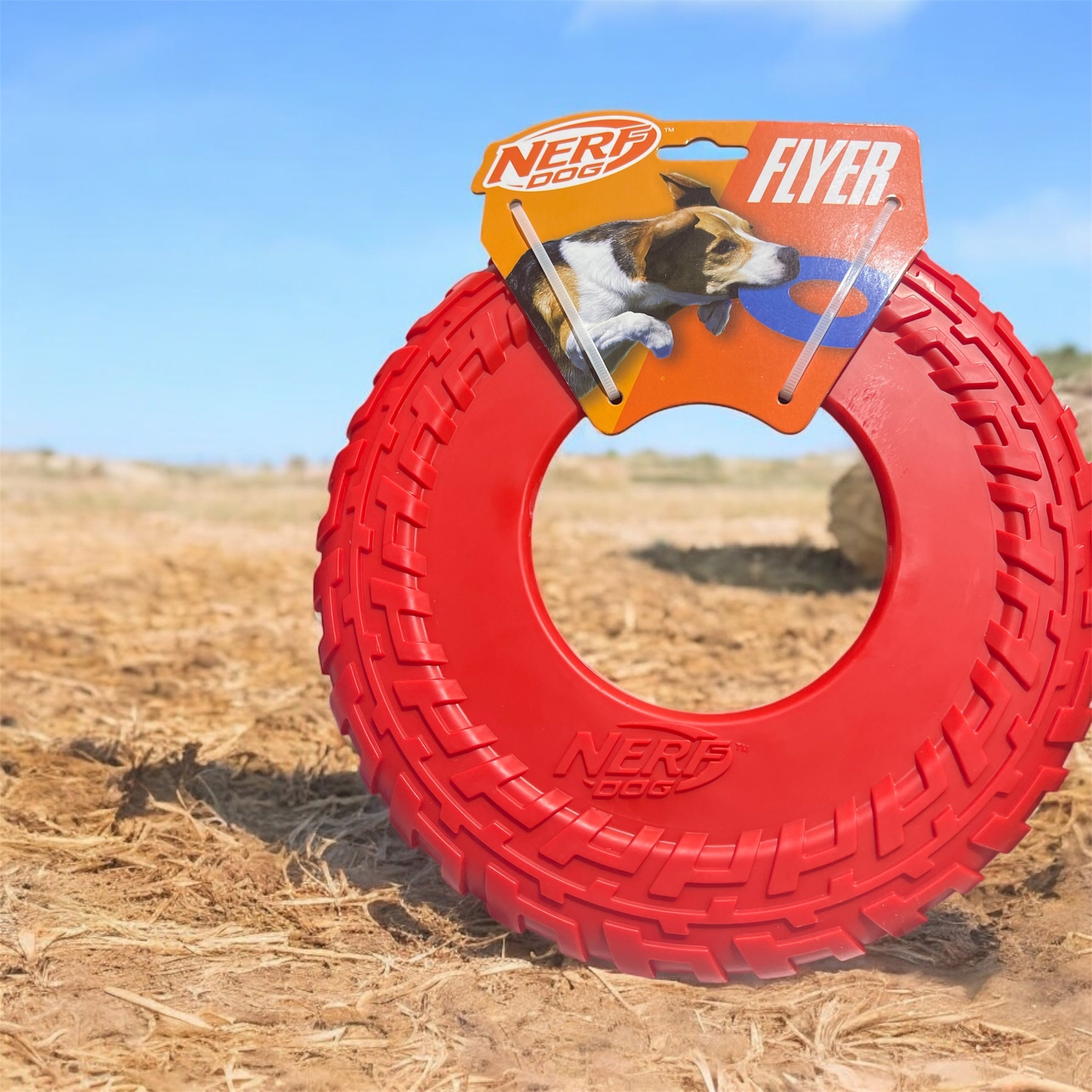 nerf dog flyer