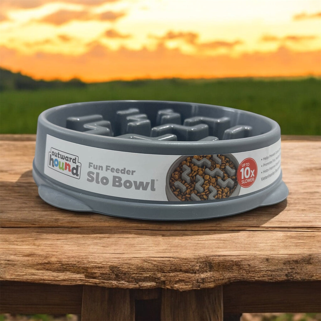 Outward Hound Fun Feeder Slo Bowl, Medium Slow Feeder Dog Bowl, 2 Cups, gray