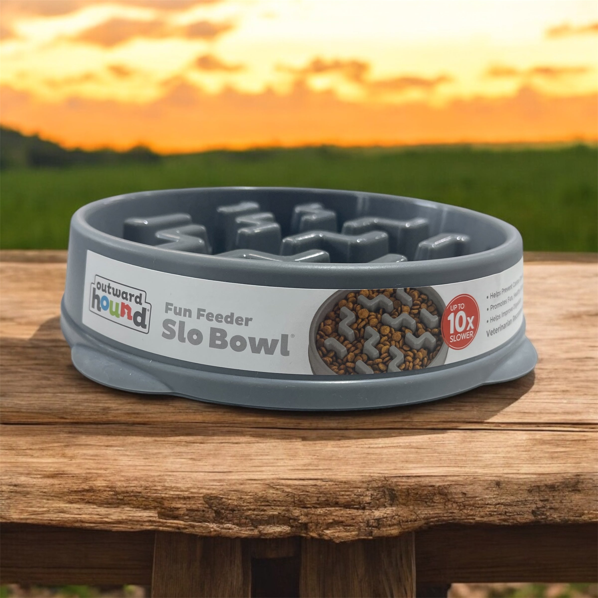 Outward Hound Fun Feeder Slo Bowl, Medium Slow Feeder Dog Bowl, 2 Cups, gray